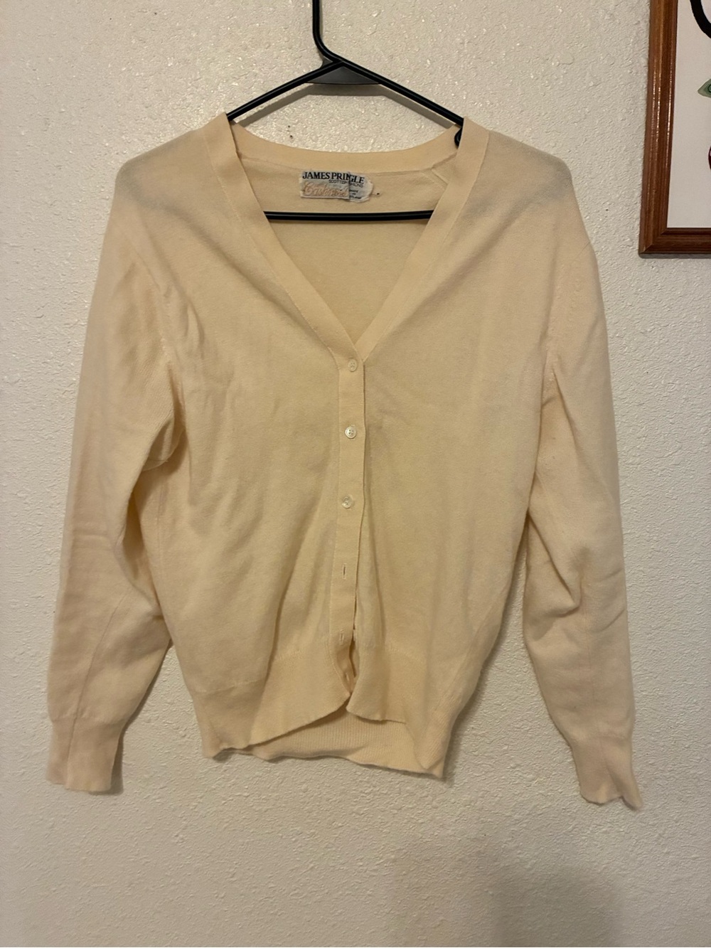 Cashmere Pringle Cream Button-Up V-Neck Women's Sweater